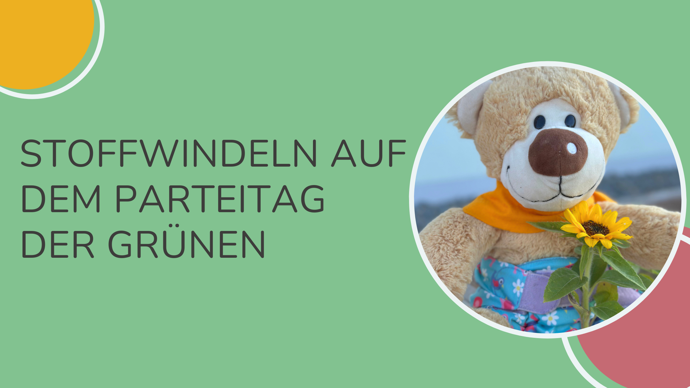 Stoffwindeln auf dem Parteitag der Grünen